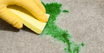 Как вывести зеленку с ковра
